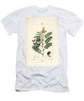 Sene Alexandrian Senna Senna Alexandrina with Flower Leaf Stalk and Seed Pierre Jean Francois Turpin T-Shirt