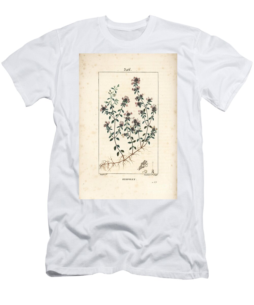 Serpolet or Thyme Serpolet Creeping Thyme or Wild Thyme Thymus Serpyllum with Flower Leaf Stalk and Root Pierre Jean Francois Turpin T-Shirt