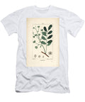 Simarouba Bitere Marupa or Bitterwood Simarouba Amara Quassia Simaruba with Flower Leaf Branch and Seed Pierre Jean Francois Turpin T-Shirt