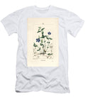 Small Periwinkle Lesser Periwinkle Vinca Minor with Flower Leaf Stalk Root and Seed Ernestine Panckoucke T-Shirt