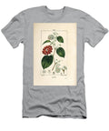 Smilax Variety Chinese Smilax Smilax China with Flower Tendril Leaf and Fruit Pierre Jean Francois Turpin T-Shirt