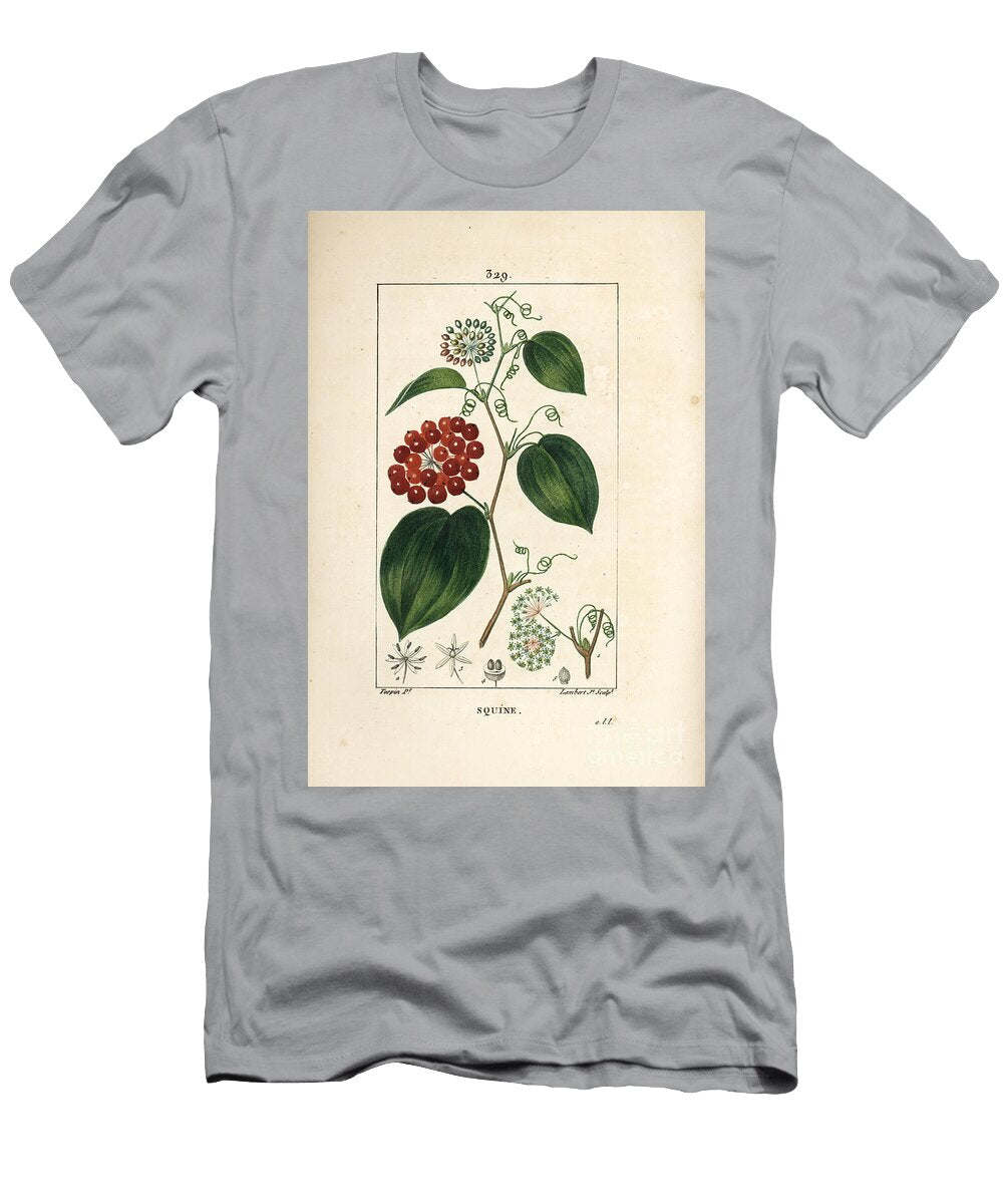 Smilax Variety Chinese Smilax Smilax China with Flower Tendril Leaf and Fruit Pierre Jean Francois Turpin T-Shirt