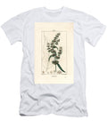 Spinard Sorrel Ou Patience Des Moines Patience Dock Rumex Patientia with Flower Stalk Leaves Seed and Leaf Outline Pierre Jean Francois Turpin T-Shirt