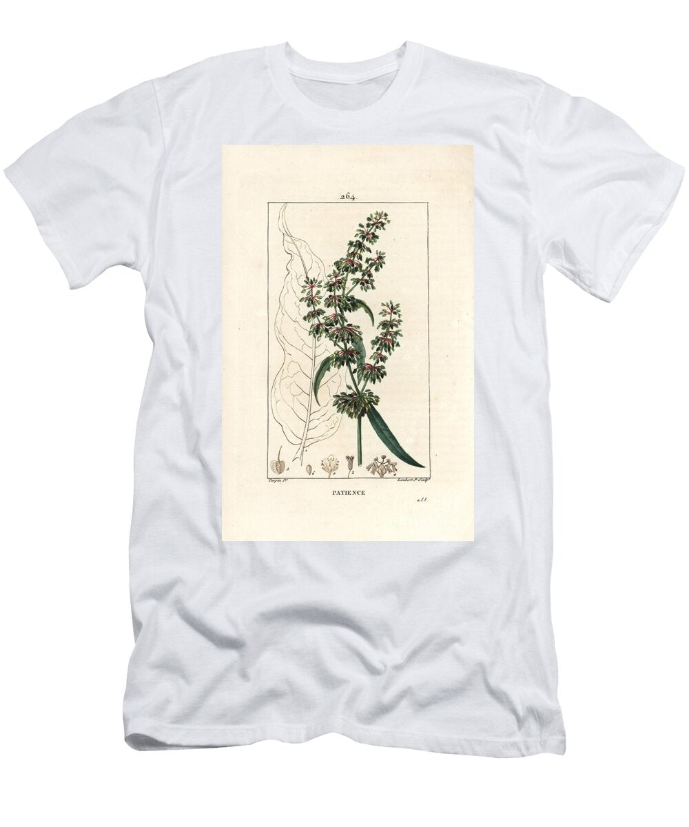 Spinard Sorrel Ou Patience Des Moines Patience Dock Rumex Patientia with Flower Stalk Leaves Seed and Leaf Outline Pierre Jean Francois Turpin T-Shirt
