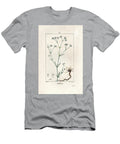 Squinancywort or Squincywort Asperula Cynanchica European School T-Shirt