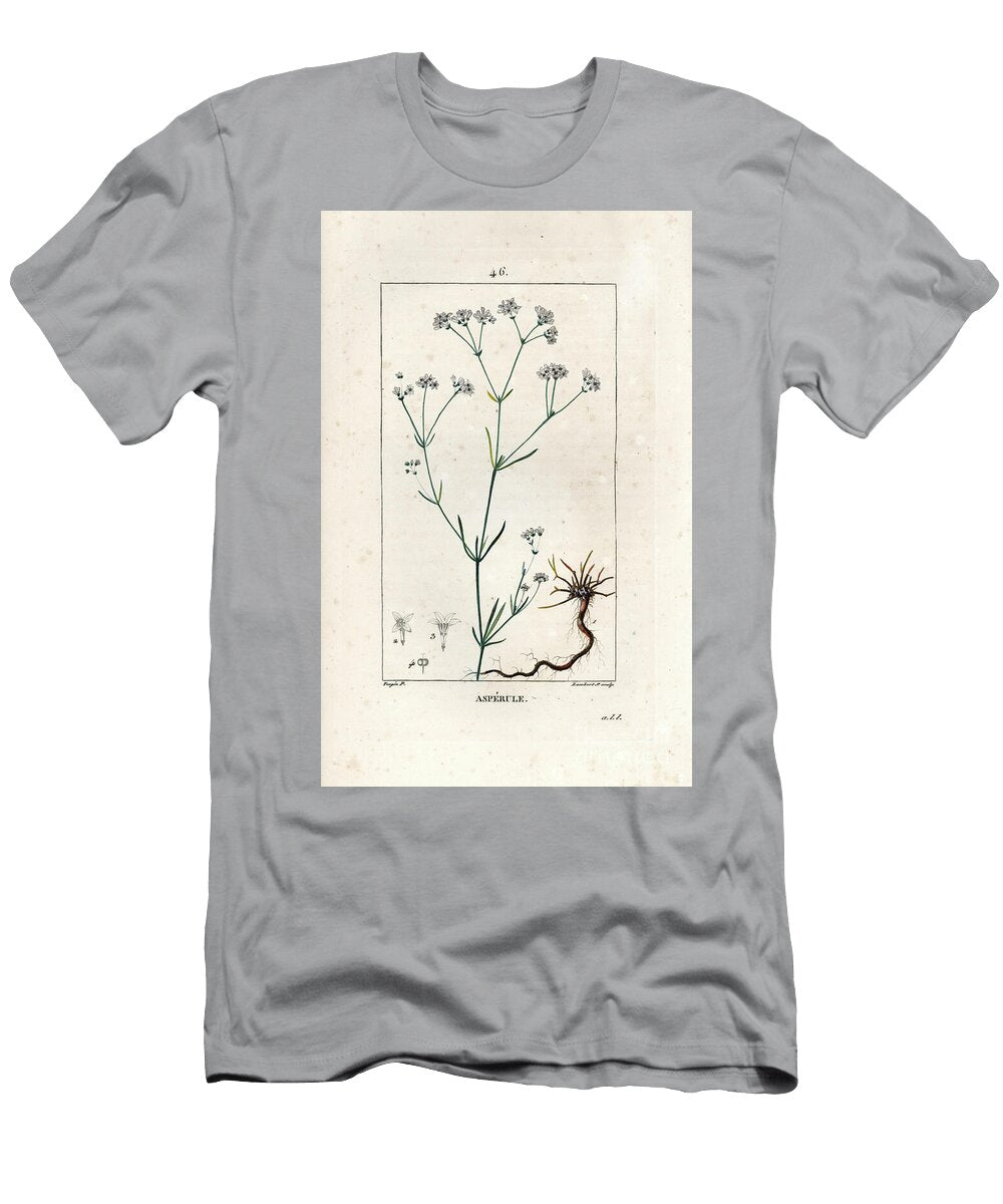 Squinancywort or Squincywort Asperula Cynanchica European School T-Shirt
