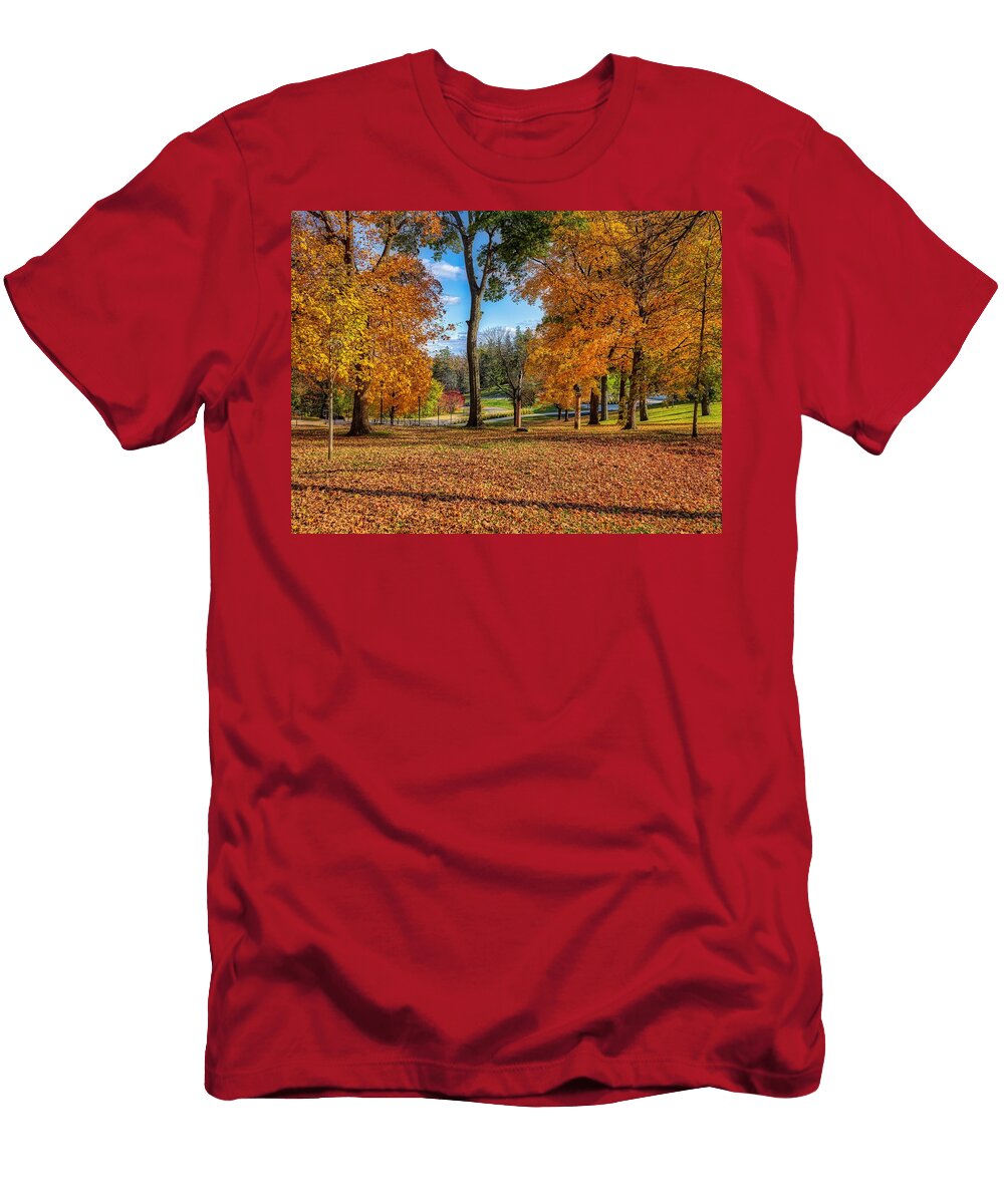 St Olaf College Campus in Autumn Mountain Dreams T-Shirt