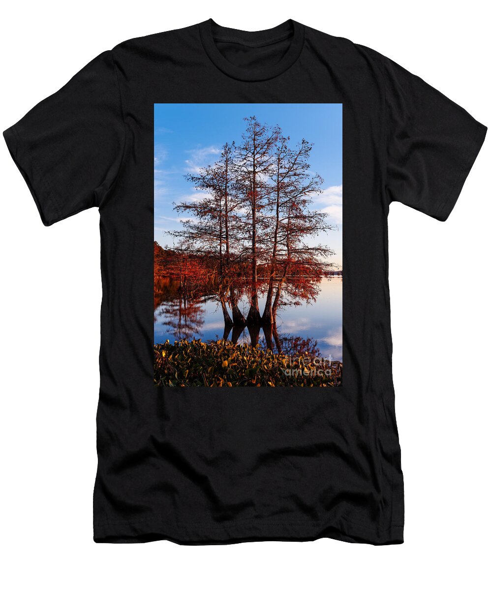 Stand of Bald Cypress Trees At Silvio Ligutti T-Shirt