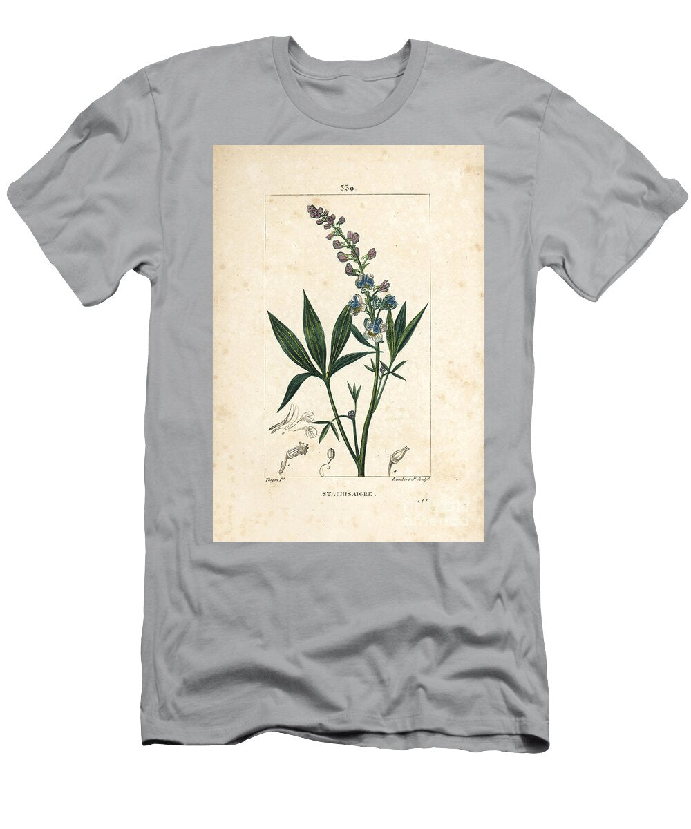 Staphisagria Lie Bane or Stavesacre Delphinium Staphisagria with Flower Leaf Stalk and Seed Pierre Jean Francois Turpin T-Shirt