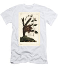 Starfish Plant Orbea Variegata 1 and White Swallow Wort Vincetoxicum Hirundinaria 2 the Younger Dupin T-Shirt