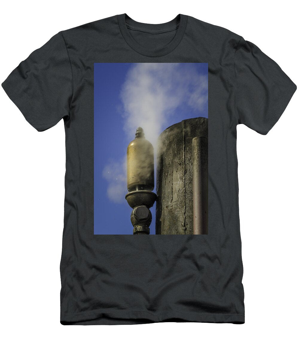 Steam Whistle 8632 Karen Celella T-Shirt