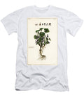 Sweet Violet Viola Odorata Linn the Younger Dupin T-Shirt
