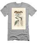 Tansy Tansy Tanacetum Vulgare Pierre Jean Francois Turpin T-Shirt