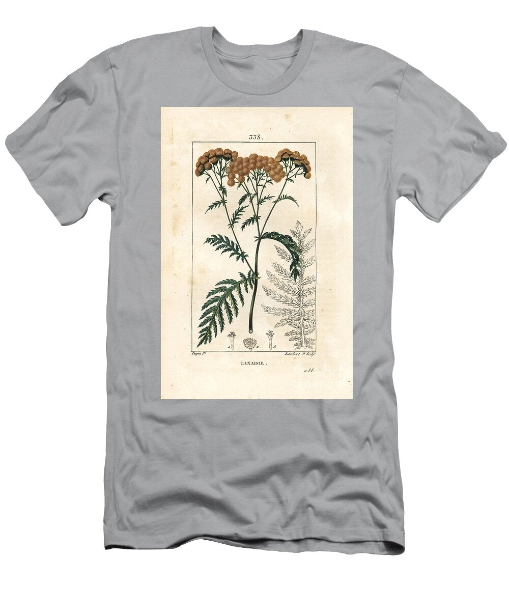 Tansy Tansy Tanacetum Vulgare Pierre Jean Francois Turpin T-Shirt