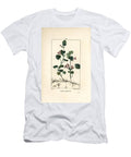 Terrestrial Ivy Ground Ivy Hedera Terrestris Pierre Jean Francois Turpin T-Shirt
