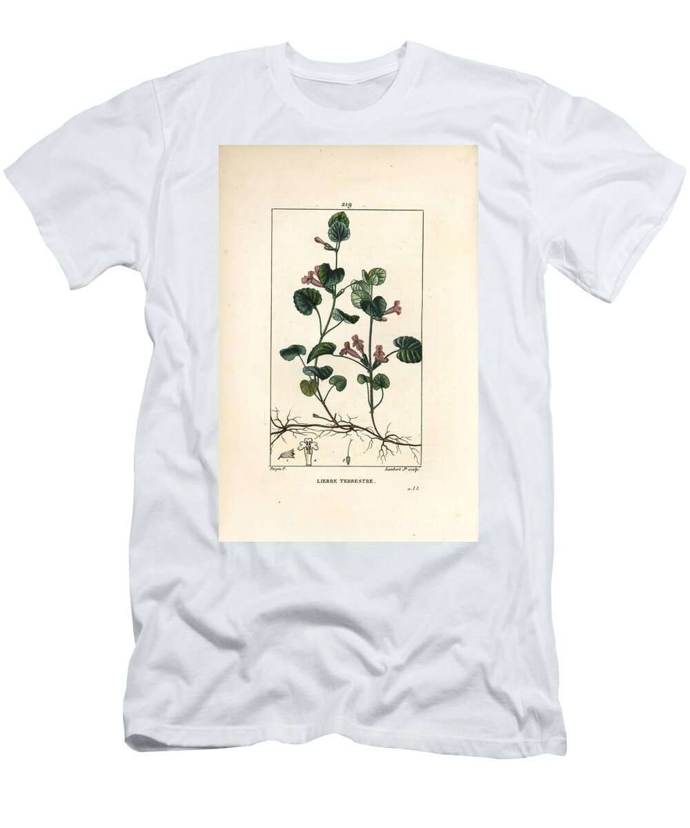 Terrestrial Ivy Ground Ivy Hedera Terrestris Pierre Jean Francois Turpin T-Shirt