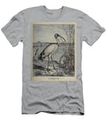 The African Sacred Ibis Threskiornis Aethiopicus M4 Historic Illustrations T-Shirt