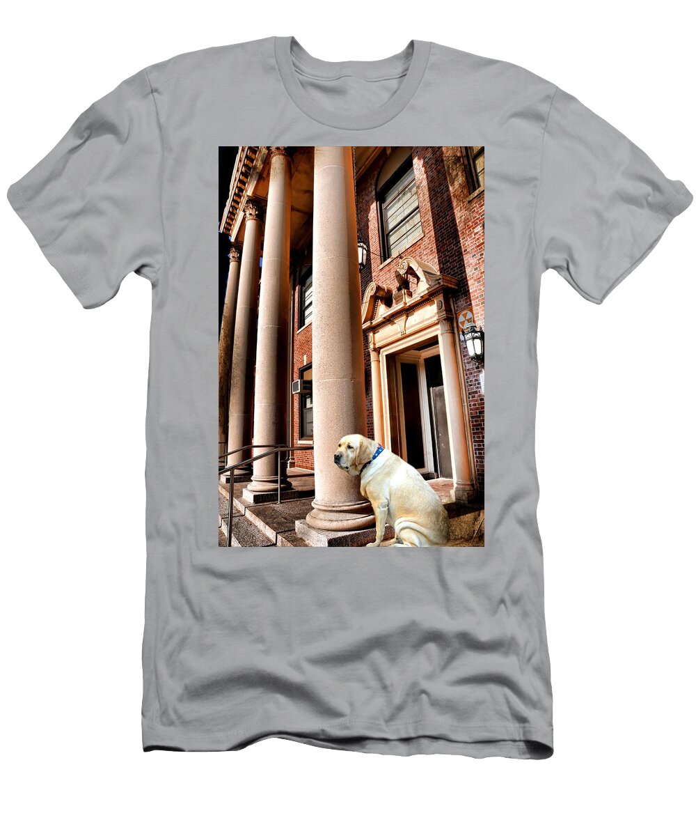 The Student Diana Angstadt T-Shirt