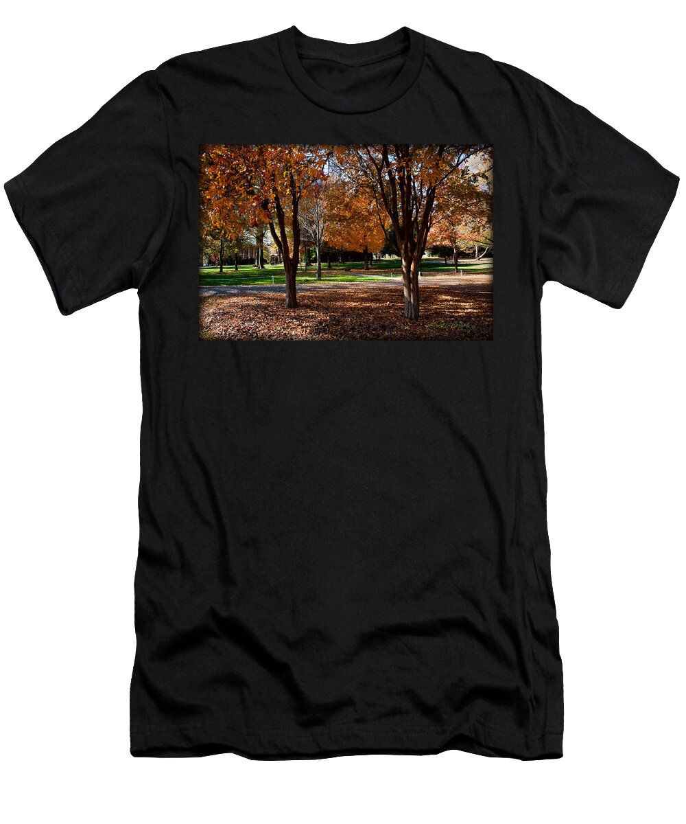 The Well in the Distance Davidson College Paulette Wright T-Shirt