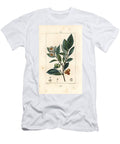 Theier Tea Camellia Sinensis Showing Leaf Fruit and Flower Pierre Jean Francois Turpin T-Shirt