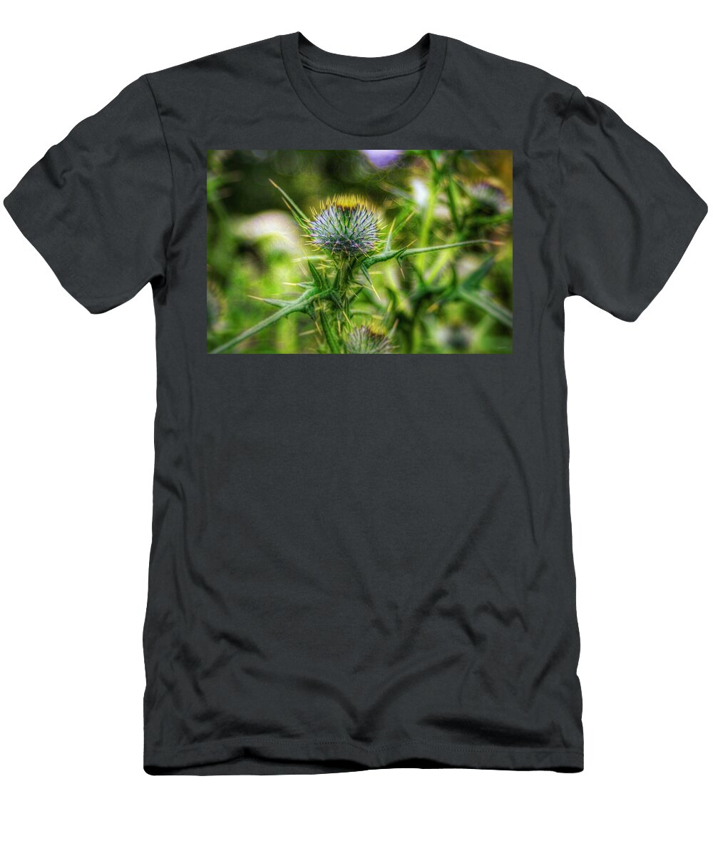 Thistle Abbie Shores T-Shirt