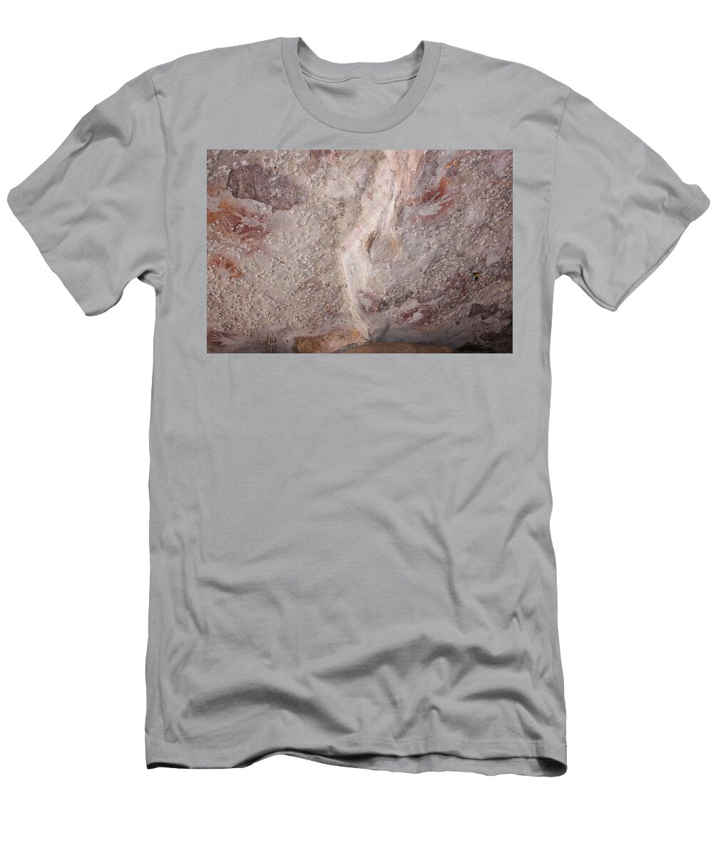Three Bird Stencils on Ceiling Unknown Artist T-Shirt