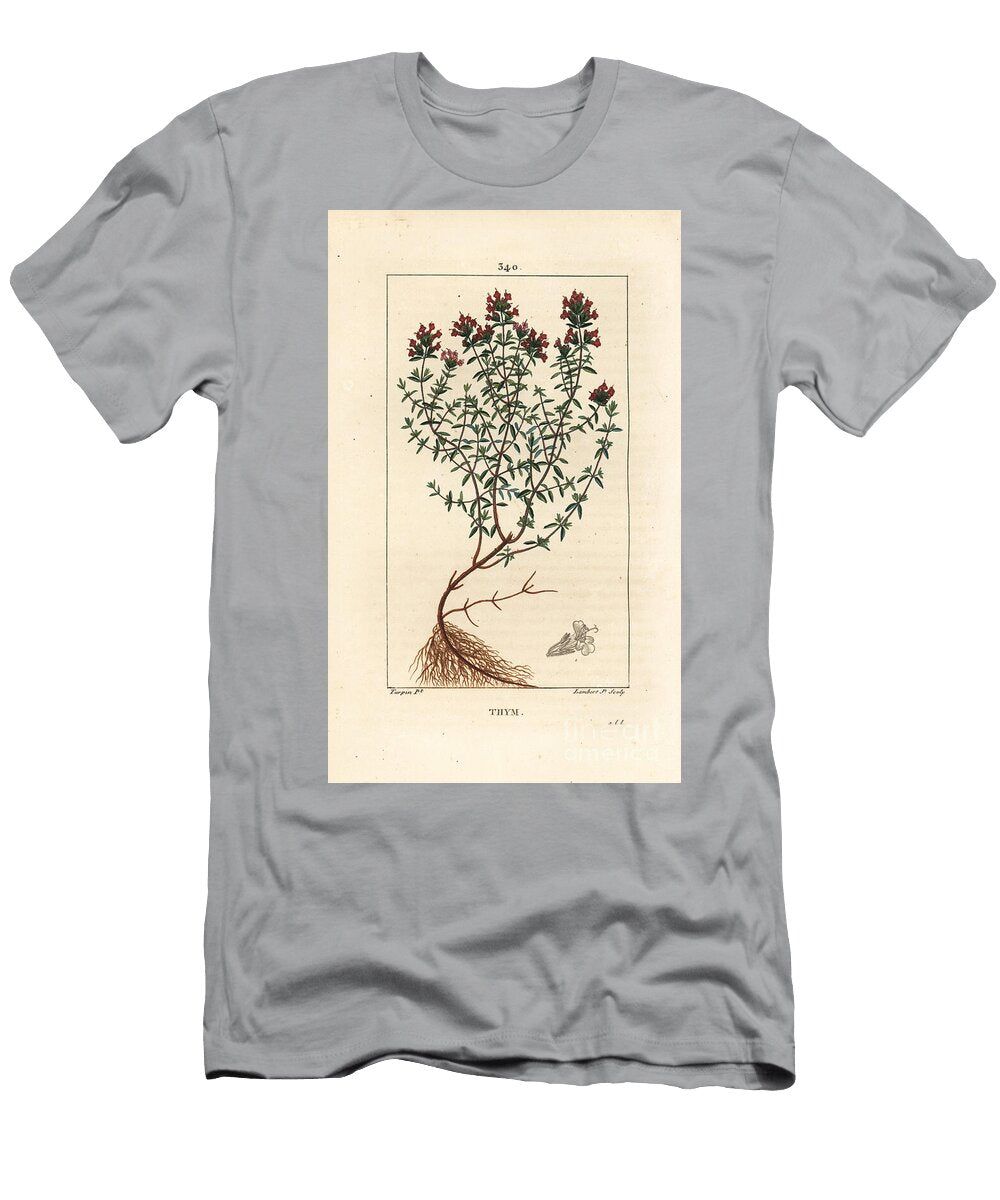 Thyme Thymus Vulgaris Showing Flower Leaf Stem and Root Pierre Jean Francois Turpin T-Shirt