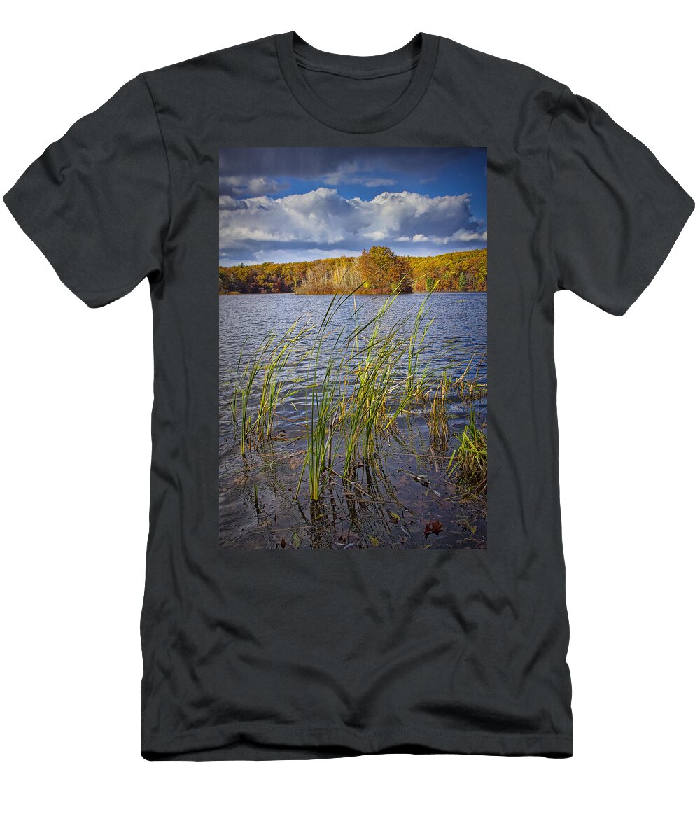 Tiny Island on Hall Lake No 0086 Randall Nyhof T-Shirt
