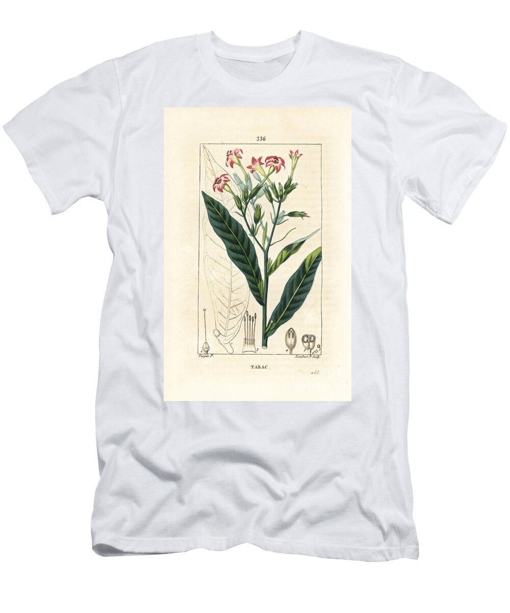 Tobacco Tobacco Nicotiana Tabacum Pierre Jean Francois Turpin T-Shirt