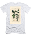 Toxic Liana Poison Oak Toxicodendron Pubescens Pierre Jean Francois Turpin T-Shirt