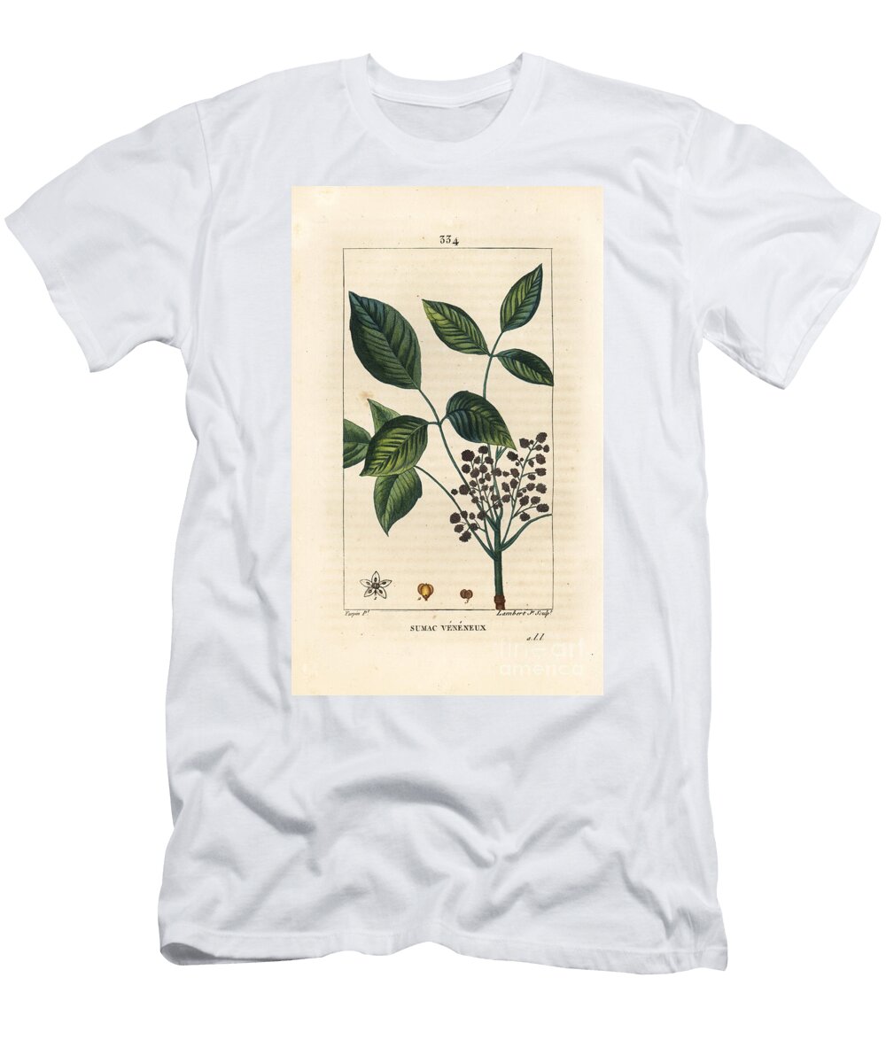 Toxic Liana Poison Oak Toxicodendron Pubescens Pierre Jean Francois Turpin T-Shirt