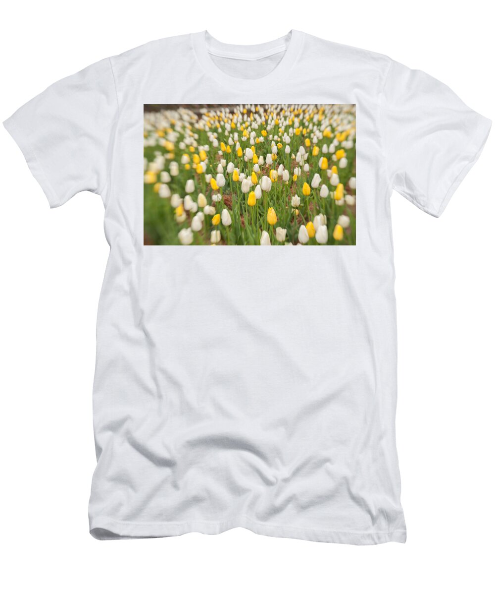 Tulip 2 Joye Ardyn Durham T-Shirt