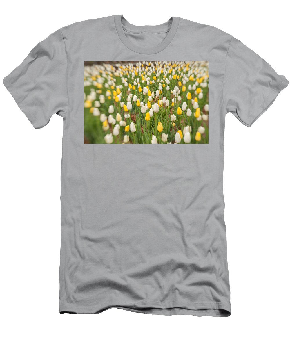 Tulip 3 Joye Ardyn Durham T-Shirt