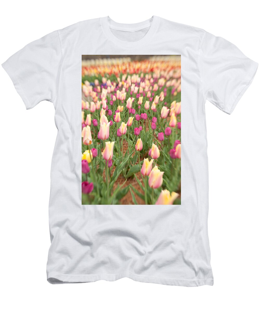 Tulip 4 Joye Ardyn Durham T-Shirt