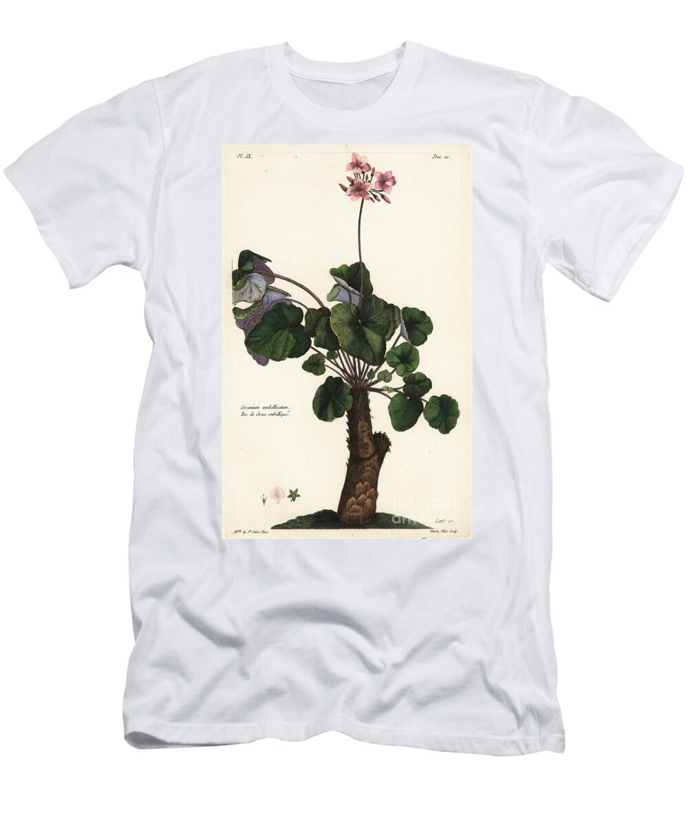 Unresolved Species of Geranium Geranium Umbellicatum the Younger Dupin T-Shirt
