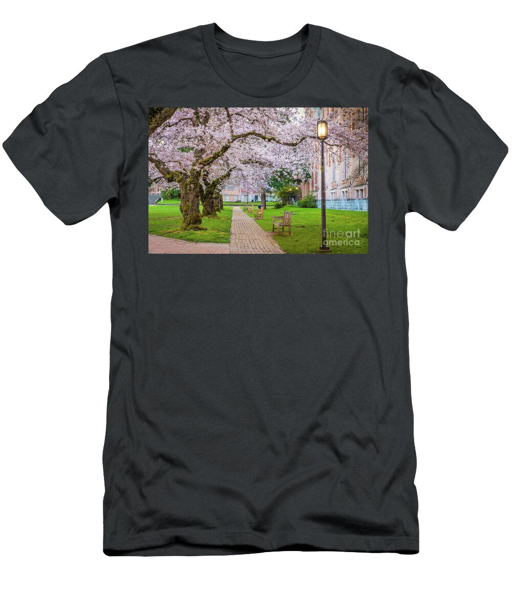 Uw Quad Evening Inge Johnsson T-Shirt