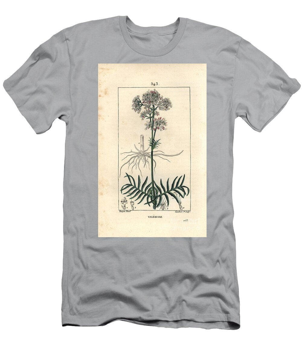 Valeriane of the Hills or Valeriane with Small Leaves Valerian Valeriana Officinalis with Flower Leaf Stem and Root Pierre Jean Francois Turpin T-Shirt
