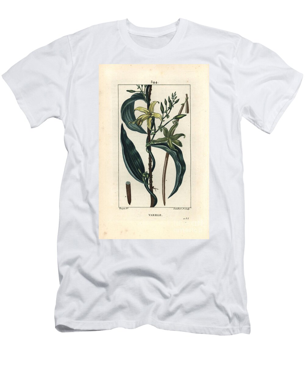 Vanilla Vanilla Orchid Epidendron Vanilla 1830 Engraving Pierre Jean Francois Turpin T-Shirt
