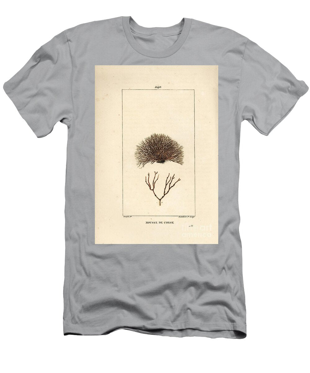 Variete of Fucus Sea Wreck Fucus Helminthocorton Pierre Jean Francois Turpin T-Shirt