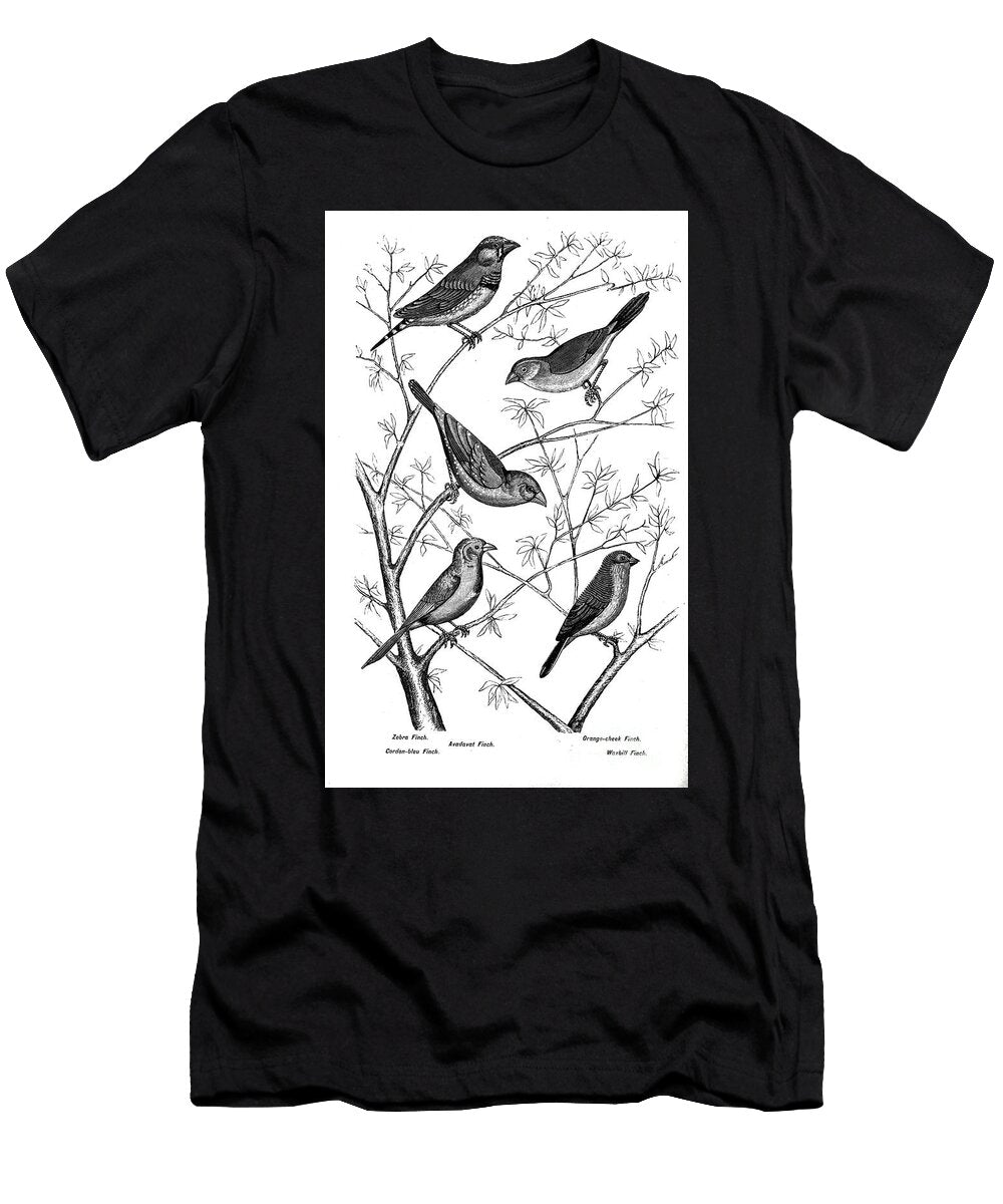 Various Finches Aq1 Historic Illustrations T-Shirt