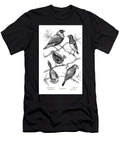 Various Finches Aq2 Historic Illustrations T-Shirt