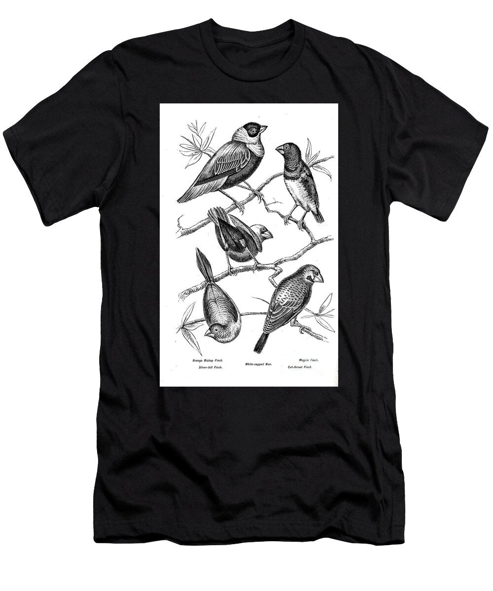 Various Finches Aq2 Historic Illustrations T-Shirt