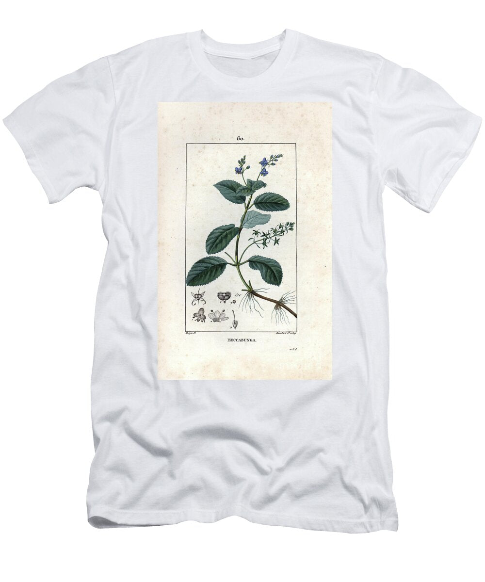 Veronique Des Ruisseaux Ou Cress De Cheval or Salad De Chouette European School T-Shirt
