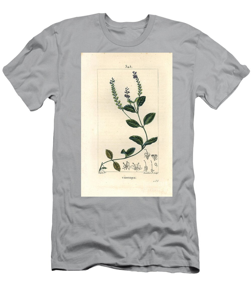 Veronique Officinale Male Speedwell Veronica Officinalis Pierre Jean Francois Turpin T-Shirt