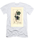 Vine Grape Vine Vitis Vinifera with Fruit Leaf Tendril and Stem Pierre Jean Francois Turpin T-Shirt