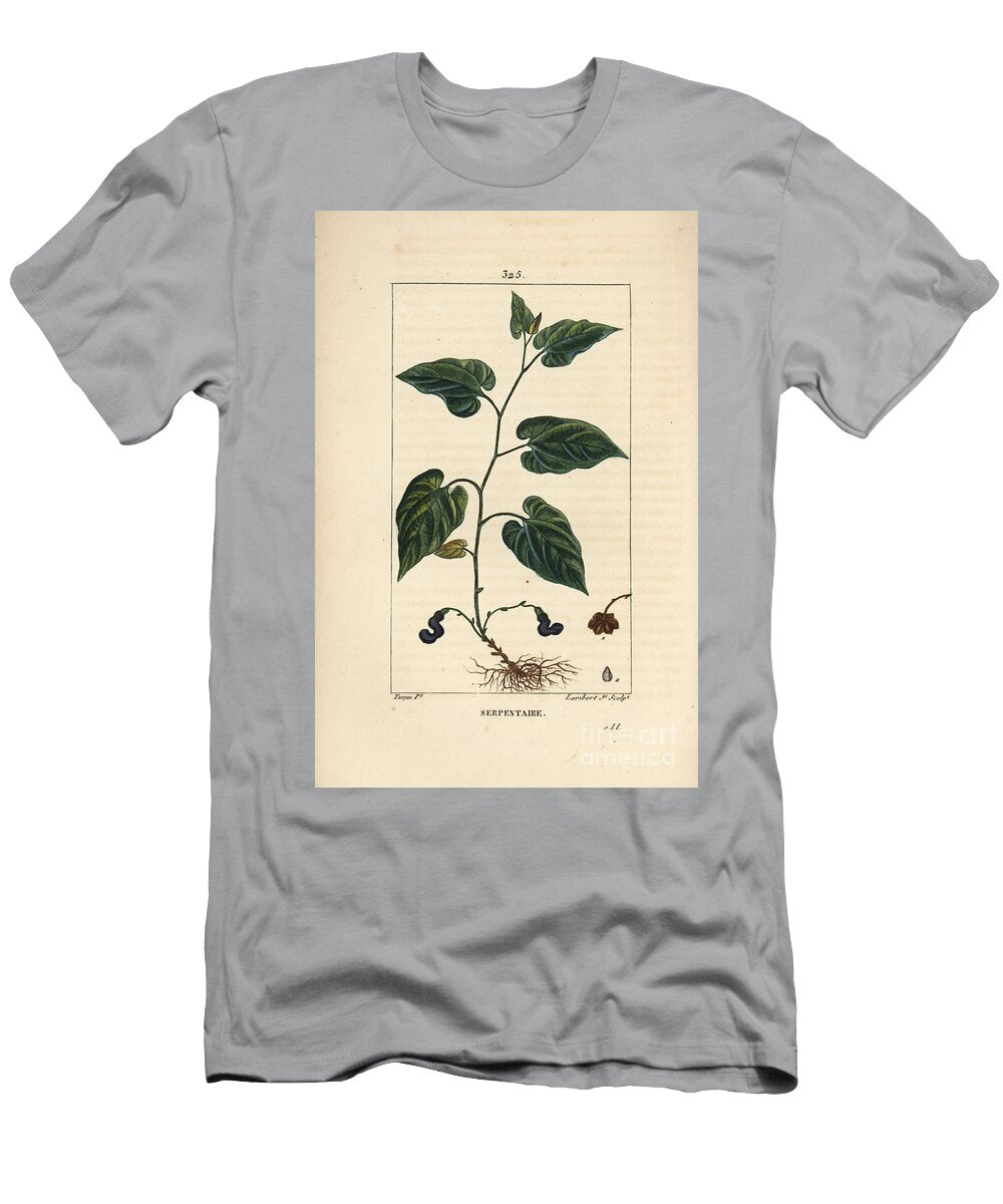 Virginia Snakeroot Virginian Snakeroot Aristolochia Serpentaria with Flower Leaf Stalk Seed and Root Pierre Jean Francois Turpin T-Shirt