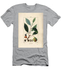 Vomic Nuts Nutmeg and Mace Myristica Moschata Leaf Seed and Fruit Pierre Jean Francois Turpin T-Shirt