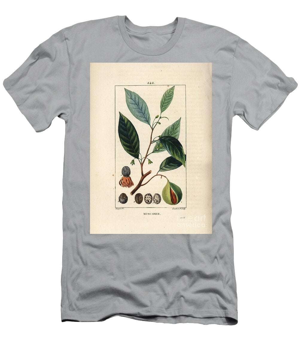 Vomic Nuts Nutmeg and Mace Myristica Moschata Leaf Seed and Fruit Pierre Jean Francois Turpin T-Shirt