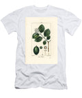 Vomiker Strychnine Tree or Poison Nut Strychnos Nux Vomica with Fruit Seed Leaf and Flower Pierre Jean Francois Turpin T-Shirt