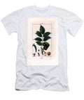 Walnut Branch with Nuts Walnut Tree Juglans Regia with Branch Leaves Ripe Fruit Nut in Shell and in Section Pierre Jean Francois Turpin T-Shirt